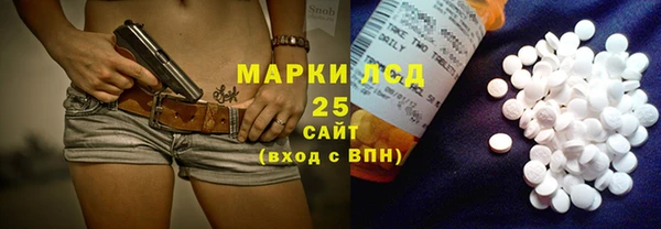 МДПВ Бородино