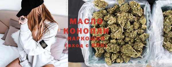 МДПВ Бородино