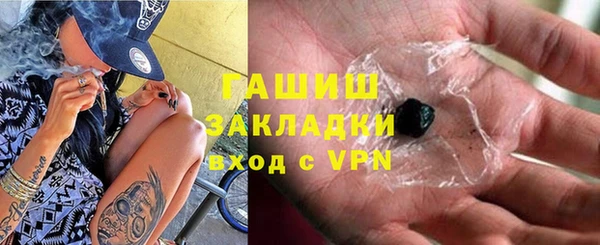 МДПВ Бородино