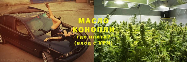 МДПВ Бородино
