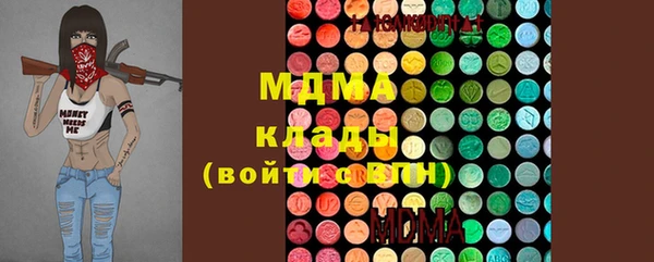 МДПВ Бородино
